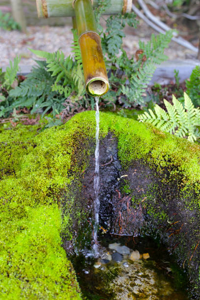 istock Japanese Tsukubai, Bamboo water dropping 2182265735