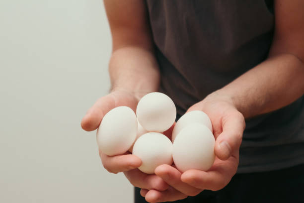 Farmer with fresh organic eggs. Human hands hold a chicken eggs