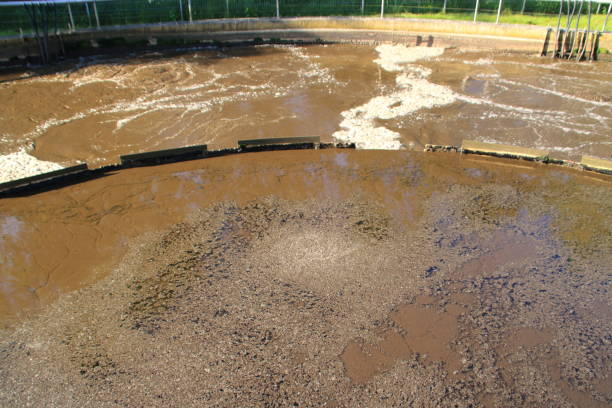 istock Mud flakes on the surface in an aeration tank 2182287789