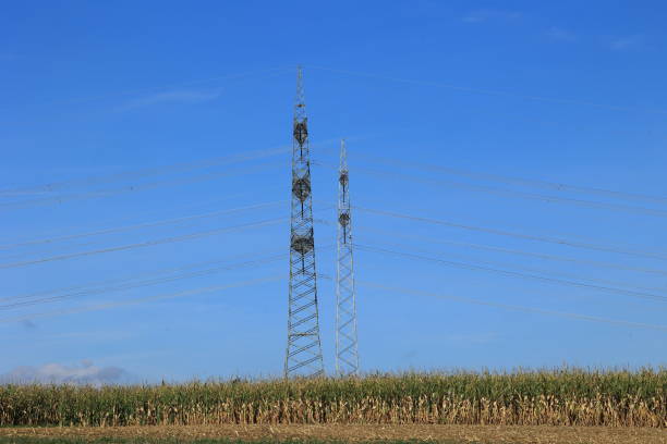 High-voltage pylons stand one behind the other, offset laterally