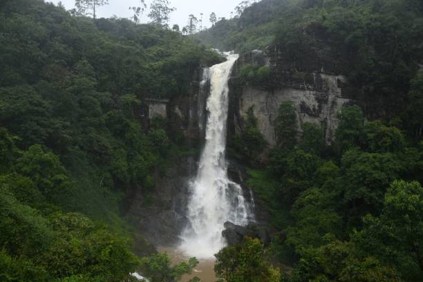 istock Majestic waterfall in lush green forest 2182290294