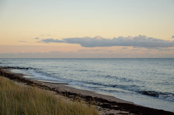 istock October 2024, Nature - Southern Sweden Part 2 2182291953