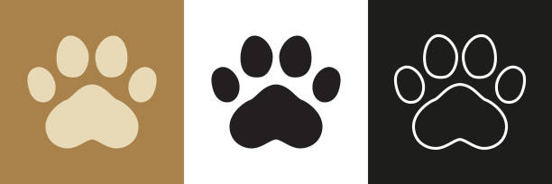 Animal Paw Paw footprint icon set. Pet paw icons in different style. Cat or dog foot print white husky stock illustrations