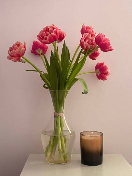 istock Pink tulips in a vase 2182294264