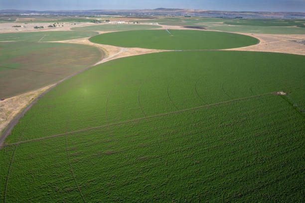 istock Ariel of crop circles blue sky 2182294318