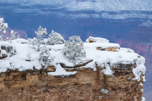 Tree and boulders covered with snow and icicles, on a finger of rock stretching out from the Grand Canyon's South Rim. North Rim is visible in the background.