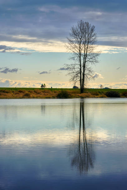 istock Alouette River Dyke Autumn Bike Ride 2182296182