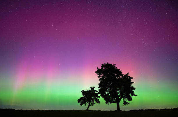 istock Northern Lights, Aurora Borealis. Night sky with two trees in the background, geomagnetic storm G4 2182296366