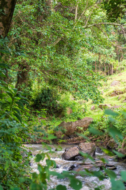istock Near Africas rift valley 2182301119