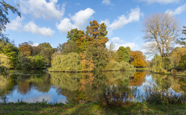 Wilhelminapark in Utrecht the Netherlands. The Wilhelmina Park is a romantic city park with many old trees. It is a popular city park that is busy all year round