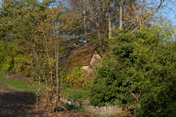 istock Old hut at the edge of the forest 2182305752