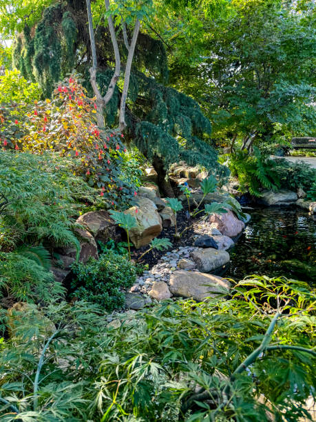 istock Tropical plants in a public botanical garden in Edmonton 2182307403