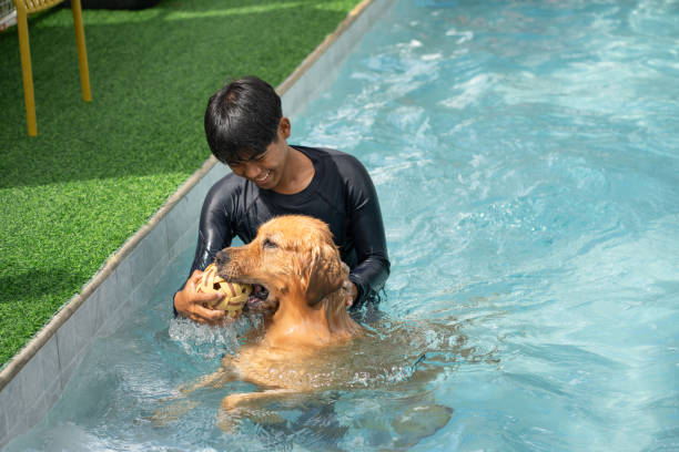 istock Trainer training golden retriever with swimming pool 2182308154