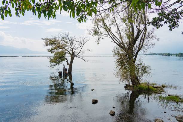 istock Serene lakeside view with trees reflecting in calm water. 2182309499