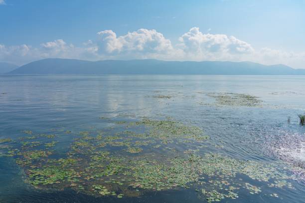 istock Serene lake with lily pads and mountains. 2182309516