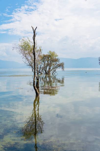 istock Serene lake landscape with reflections. 2182309695