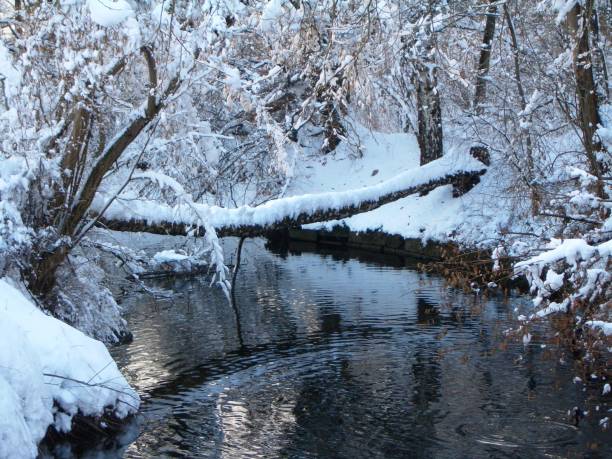 istock Uster Switzerland. Tree branches in the snow and snow landscape. 2182319730