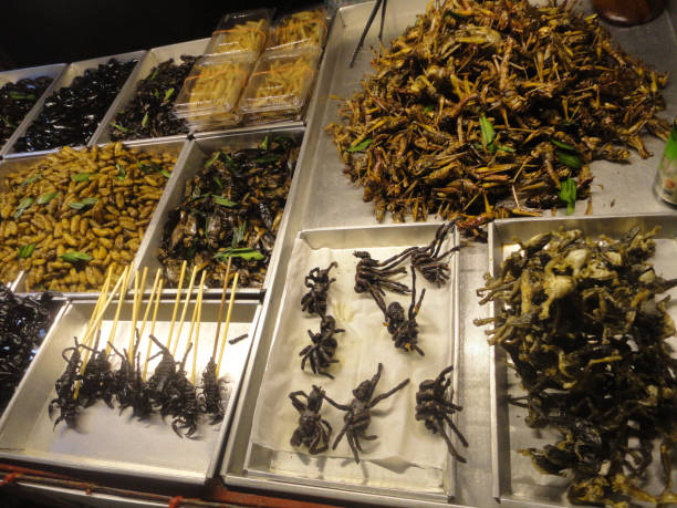 istock Trays filled with various fried insects and arachnids on display 2182323042