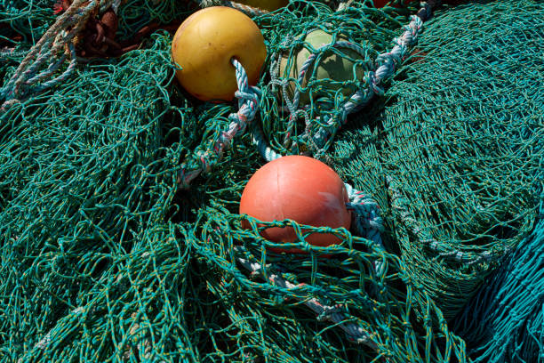 Wall Art/still life image, showcasing fishing nets, at harbour