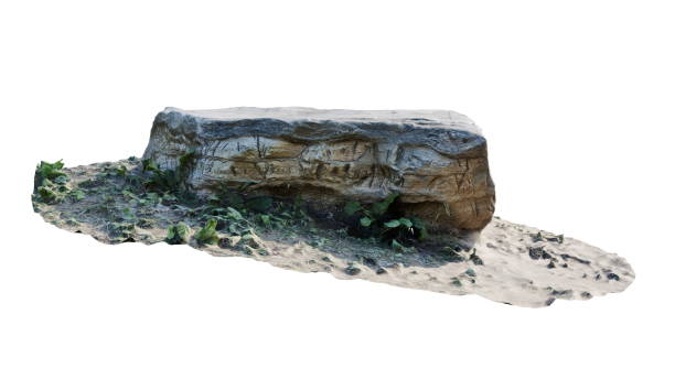 Ancient Stone Slab with Natural Vegetation