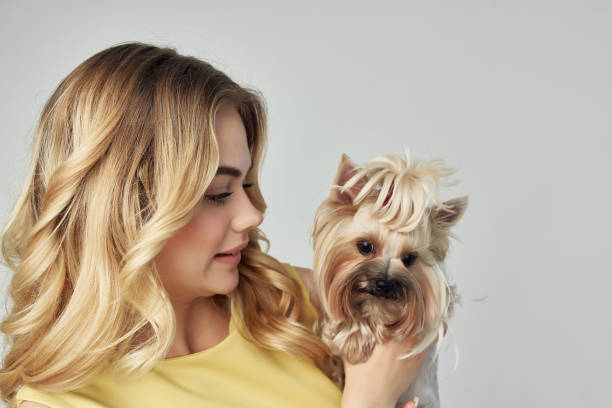 istock blonde in a yellow dress fun a small dog light background Studio 2182326049