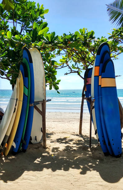 istock Surfboards stand on a perfect beach against the ocean. 2182329081