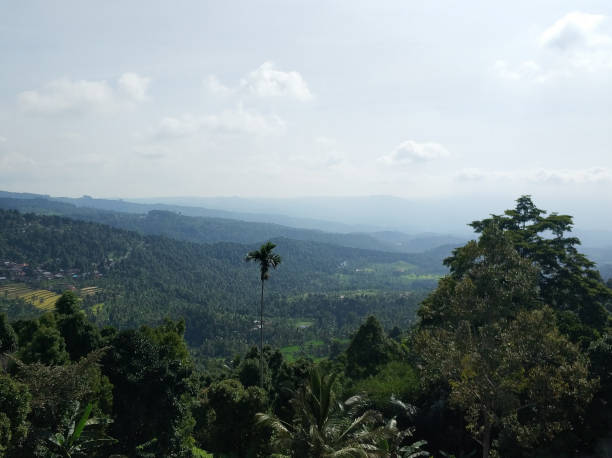 istock Panorama of a tropical mountain valley with jungle. 2182329166