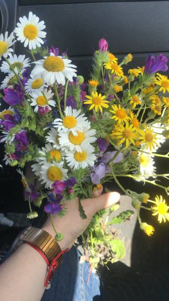 istock wildflower bouquet with white and yellow daisies 2182329895