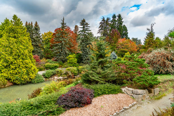 istock Kubota Gardens Fall Landsscape 2 2182330935
