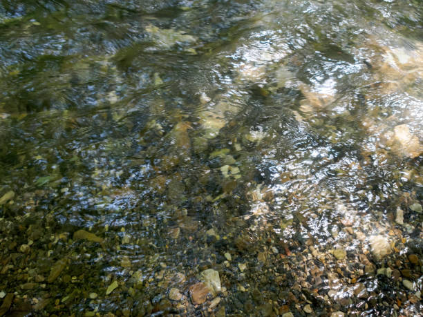 istock The river, with its rapid flow and majestic cliffs, creates a breathtaking landscape, reflecting the strength and beauty of the wild nature 2182333815