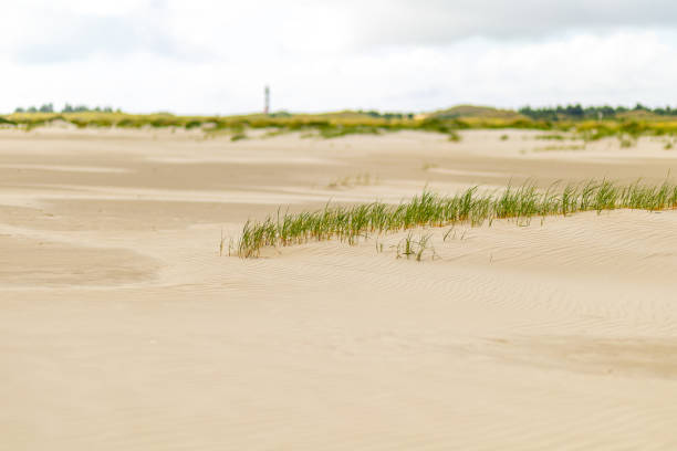 istock Tranquil sandy beach with gentle grass swaying in the breeze near a lighthouse under a cloudy sky on a cool day 2182338513