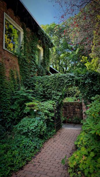 istock Cozy corner entwined with plants 2182341923