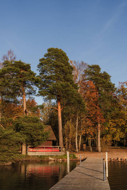 istock Lakeview with wooden pathway and trees at sunset 2182342370