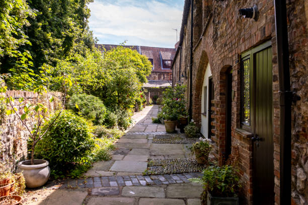 istock Plants and shrubs in the courtyard 2182343520
