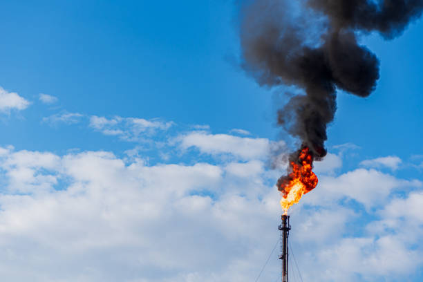 The oil pump in the field