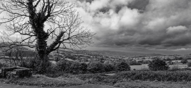 Trapp, South Wales