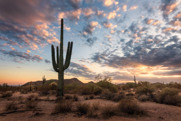 istock Sunset over a scenic Arizona desert landscape 2182354026