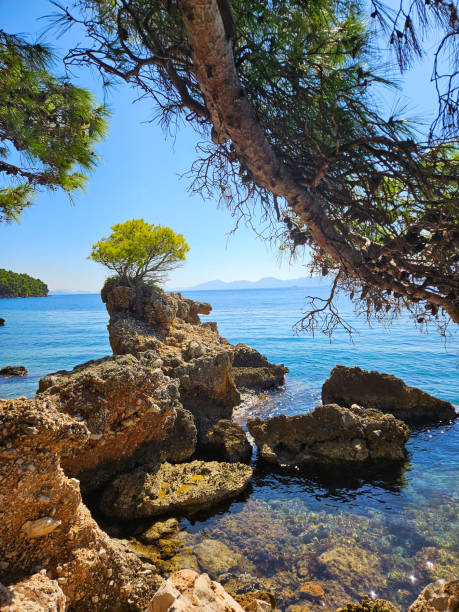istock Rock in the water 2182357235
