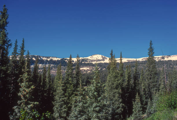 istock Colorado Wolf Creek Pass - Snowy Mountains - 1978 2182369504