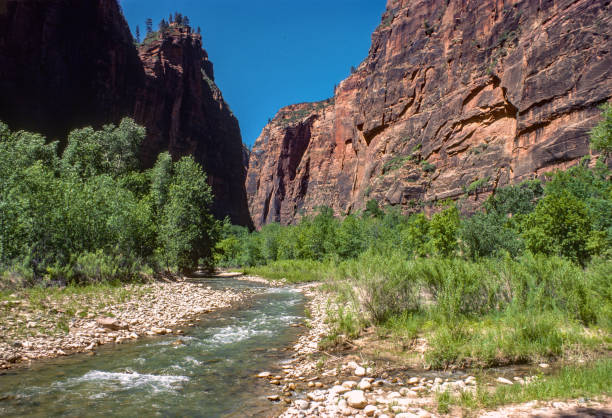 istock Zion NP - Virgin River & Canyon - 1978 2182369542