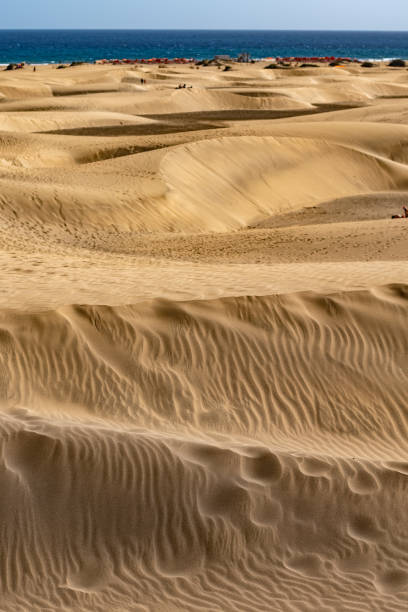 istock Serene Sand Dunes in Gran Canaria 2182370268