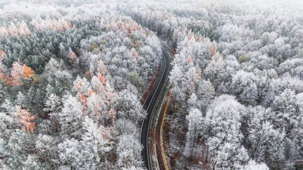 istock Winter asphalt road between snowy forest with rime, Poland. 2182371297