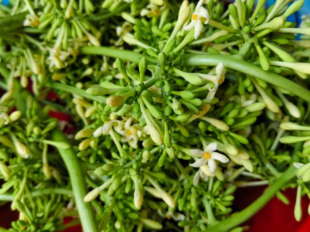 istock papaya flowers that have been picked for vegetables 2182372408