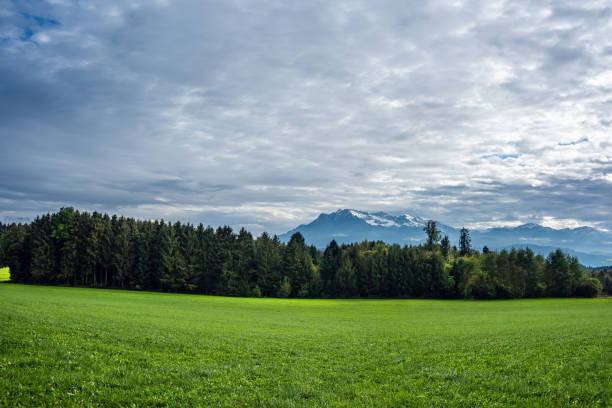 istock Green Meadows and Snowy Mountains under a Cloudy Sky 2182372556