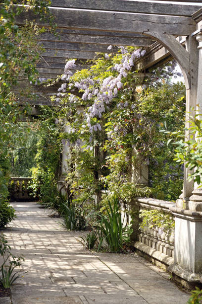 istock The Pergola in Hampstead Heath 2182373183