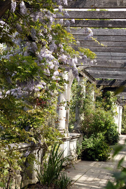 istock The Pergola in Hampstead Heath 2182373186