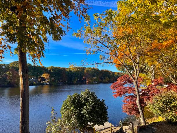 istock Colorful autumn trees by lake 2182375452