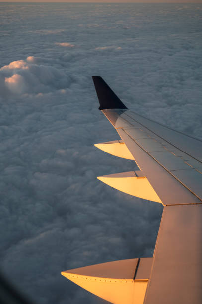 istock Airplane Wing Over Cloudscape at Sunrise 2182391870