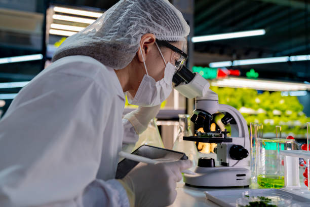 istock A scientist in protective gear, including a hairnet, mask, gloves, observes samples through a microscope in a high-tech lab. The setup emphasizes precision, research, and advanced scientific analysis. 2182398067