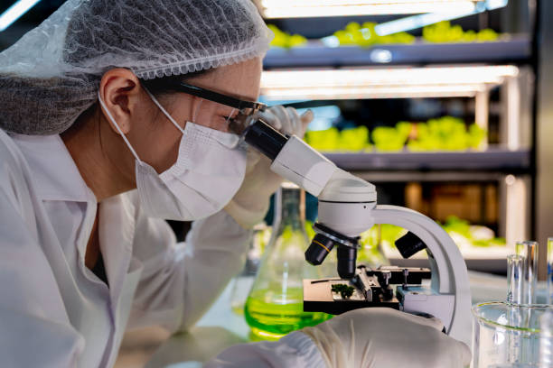 istock A scientist in protective gear, including a hairnet, mask, gloves, observes samples through a microscope in a high-tech lab. The setup emphasizes precision, research, and advanced scientific analysis. 2182398094